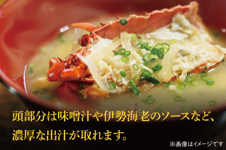 生冷凍 伊勢海老 2尾 1kg _AP031
