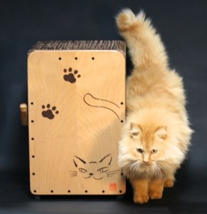カホン　ねこカホン　プロフェッショナルモデル　N-11　スタンダードサイズ　三重県産　ひのき製／KOSHIKARI　ふるさと納税　楽器　大紀ブランド　三重県　大紀町
