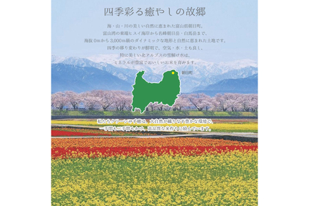 【期間限定発送】 米 令和7年産 こしひかり 精米 4.5kg [クリーンみず穂 富山県 朝日町 34310569]