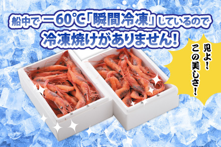 甘エビ 2.75kg (550g×5箱) 中サイズ エビ 冷凍 大容量 [C-2305]