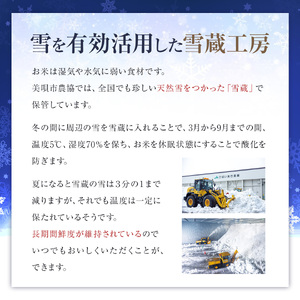 【3か月定期便】おぼろづき 5kg ×3回 雪蔵工房 幻の米 【令和7年産】｜ おぼろづき
