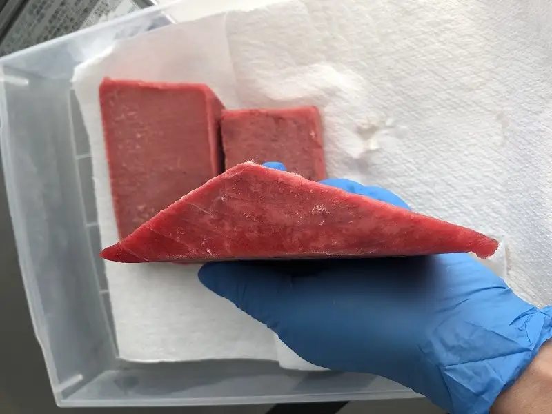a10-1077　マグロ 赤身 訳あり 刺身 ホンマグロ 天身 約500g 訳あり OR FN-SupportProject OR 増量 OR 年末企画 訳あり