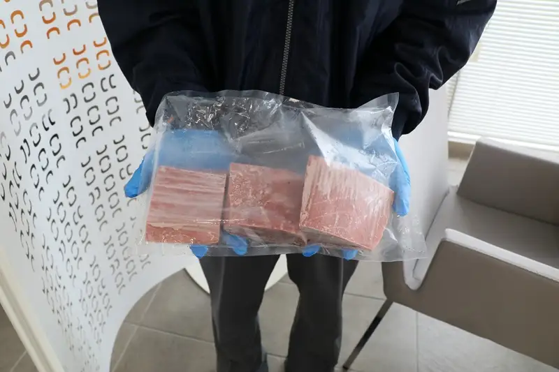 a10-1078　マグロ 赤身 訳あり 刺身 ミナミマグロ 天身 約500g 訳あり OR FN-SupportProject OR 増量 OR 年末企画 訳あり