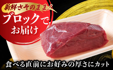 【鮮度抜群！冷蔵お届け】上馬刺し 赤身 約150g ブランド馬肉「このみ桜」馬刺し用醤油付き【馬庵このみ】馬刺し 馬肉 赤身ブロック 国産 九州産 冷蔵