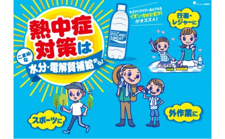 ＜6回定期便＞ 500ml×24本 900ml×12本セット ポカリスエット 【大塚製薬】  ポカリスエット ポカリ スポーツドリンク スポーツ飲料 ドリンク 飲料[FBD019]