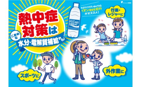 ＜6回定期便＞ポカリスエット 500ml×24本 ポカリスエット イオンウォーター900ml×12本セット 【大塚製薬】  ポカリスエット ポカリ スポーツドリンク スポーツ飲料 ドリンク 飲料[FBD023]