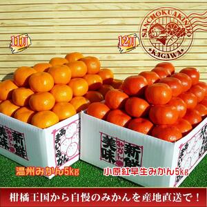 坂出産のフルーツとさぬきの特産品の定期便5回【Cコース】
