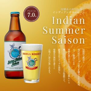 父の日 定期便 6ヶ月 志賀高原ビール12本セット ※WEB申込限定 【 クラフトビール 志賀高原ビール 飲み比べセット 玉村本店 ビール 詰め合わせ セット 地ビール 飲み比べ 黒ビール ipa ペールエール 酒 お酒 定期 お楽しみ 6回 】