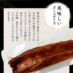 b100-058　【定期便4回】 鰻 長焼き