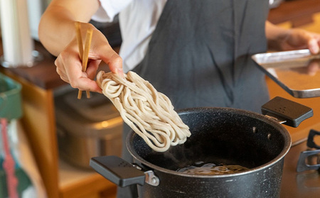 うどん 冷凍 ざる うどん 200g×5袋（つけ汁90g×5袋つき）
