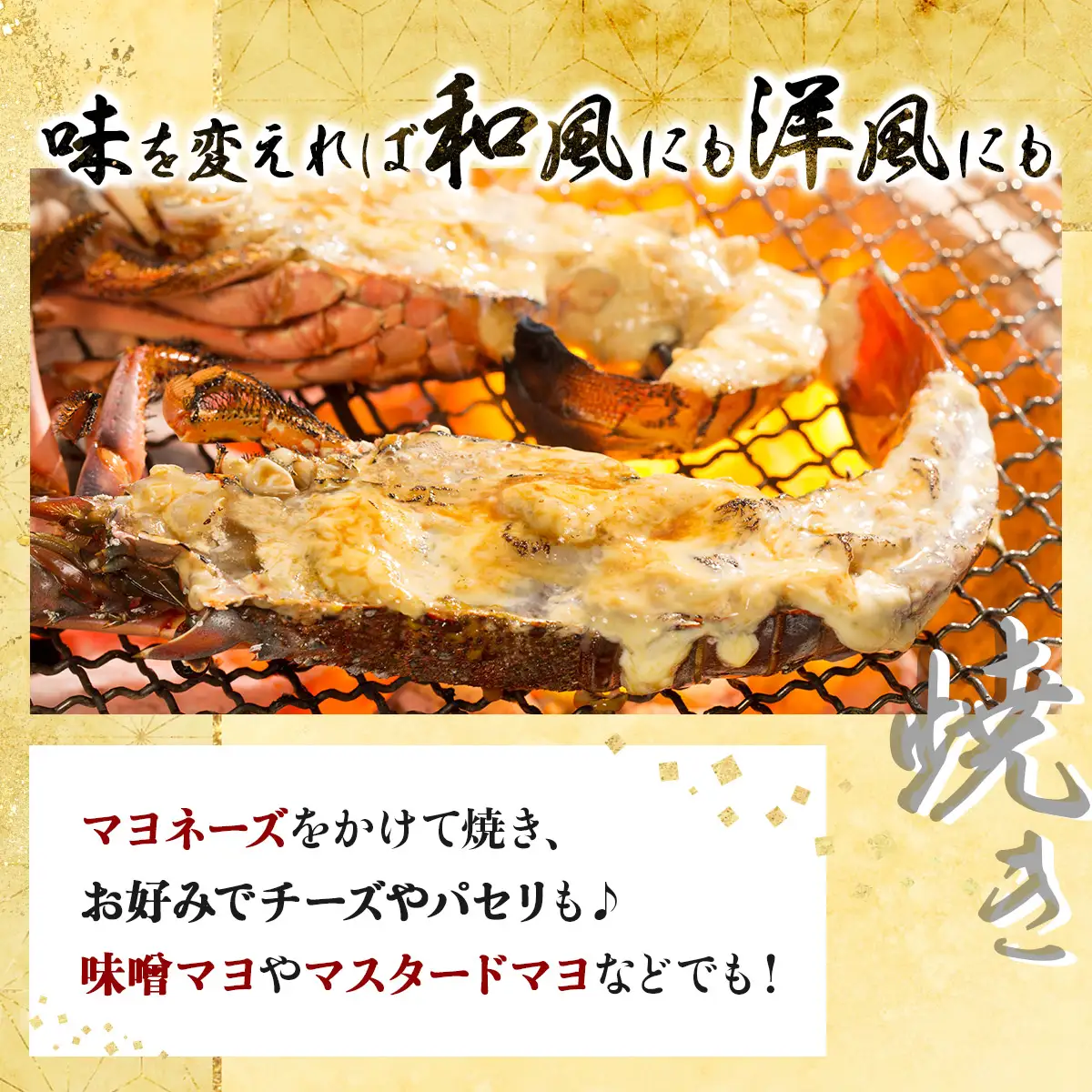 活き 伊勢海老 2～5尾 1kg 伊勢海老