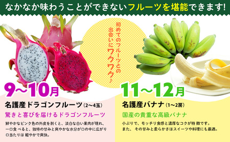 フルーツ【名護パイン園】旬の南国フルーツ定期便（6回コース）パイン マンゴー たんかん ドラゴンフルーツ  バナナ