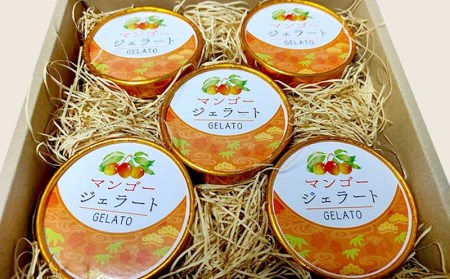 【琉花ファーム】マンゴージェラート　5個セット