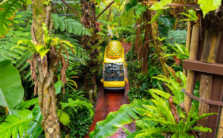 『パイナップルケーキプレミアム（大）』1箱（10個入）