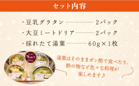 【お中元対象】【湯葉を贅沢使用！】湯葉三昧セット（豆乳グラタン×2＋大豆ミートドリア×2＋湯葉60g1枚） 糸島市 / 酒瀬川 [AZJ009]