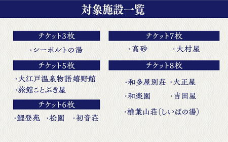 入浴券 2冊セット NBZ001 嬉野温泉 日帰り入浴券