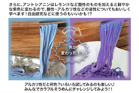そらいろそうめん濃色2個 福永幸山堂