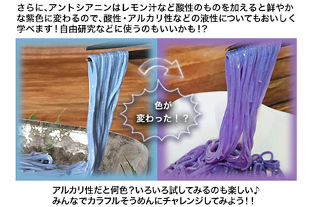 そらいろそうめん薄色6個 福永幸山堂