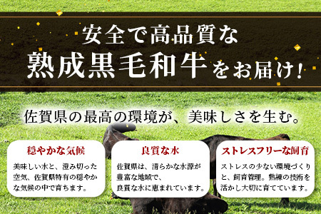   【熟成肉】佐賀県産黒毛和牛 牛肩ロース 焼肉用 500ｇ E-49