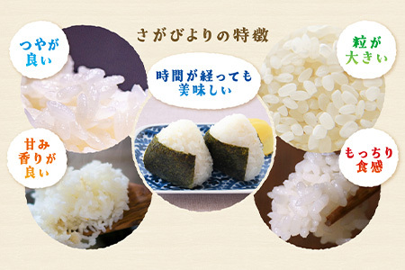 新米 令和7年産 佐賀県産 さがびより 10kg 玄米【16年連続 特A評価】B-21