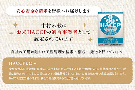 夢しずく 令和7年産 佐賀県産 10kg 白米 【 特A評価 獲得品種】 B-45