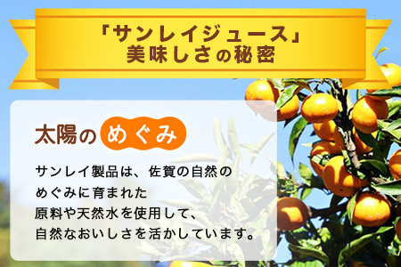 ＼工場直送／ 佐賀県産温州みかん100% サンレイみかん100|1000ml×6本|合計6L|たっぷり飲める！佐賀県産温州みかん★濃縮還元 |朝食・おやつに◎オレンジジュース みかんジュース 蜜柑 果物 飲料 飲み物 箱買い ストック 大容量 送料無料 リピーター 人気 B-459