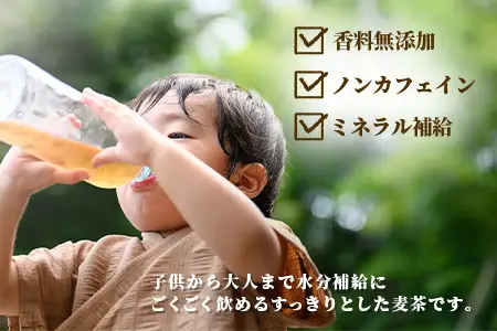 佐賀の麦茶 500ml×24本 無添加 ･ 無香料 香ばしい 《佐賀県産大麦焙煎 》 自然派 ビタミンC 香料カフェインゼロ 飲み物 飲料 大麦 国産 佐賀県産 水分補給 お茶 茶 焙煎麦 すっきり たっぷり ケース 佐賀県 鹿島市 送料無料 B-460