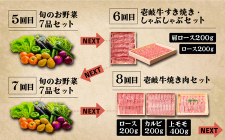 【全12回定期便】《A4-A5ランク》壱岐牛と旬の野菜定期便 [JBO079] 黒毛和牛