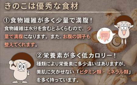 干し椎茸(しいたけ)１０袋計３００ｇ 菌床シイタケ