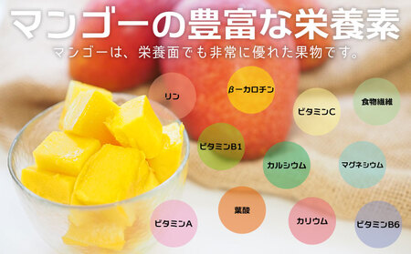 マンゴー【2026年発送先行予約】アップルマンゴー優品2kg以上