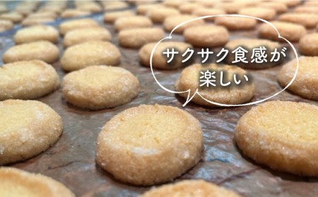  サブレ 詰め合わせ 青いクマのサブレ缶 パーティーサイズ プレーン【Sweets＆Deco 青いクマ】クッキー 焼き菓子 大容量[MCL005]