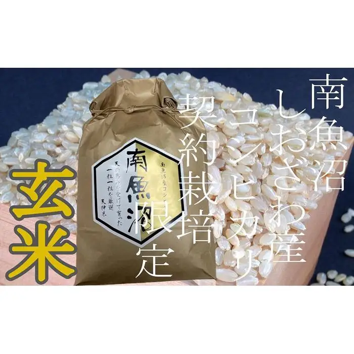 【令和7年産】【定期便5Kg×3ヶ月】●玄米● 生産者限定 南魚沼しおざわ産コシヒカリ【定期便 銘柄米 ブランド米 玄米 こしひかり コシヒカリ 魚沼産 新潟米 産地直送 お米 米 こめ コメ ご飯 御飯 ごはん】