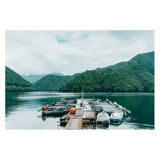 池原ダム レンタルボート【ステーサー420pd 14ｆ マーキュリー30ps 2st】池原 ドリーム バス釣り 1日乗船券