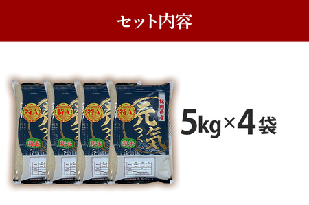 令和7年産　福岡県産ブランド米「元気つくし」白米20kg【11月上旬頃より順次出荷予定】