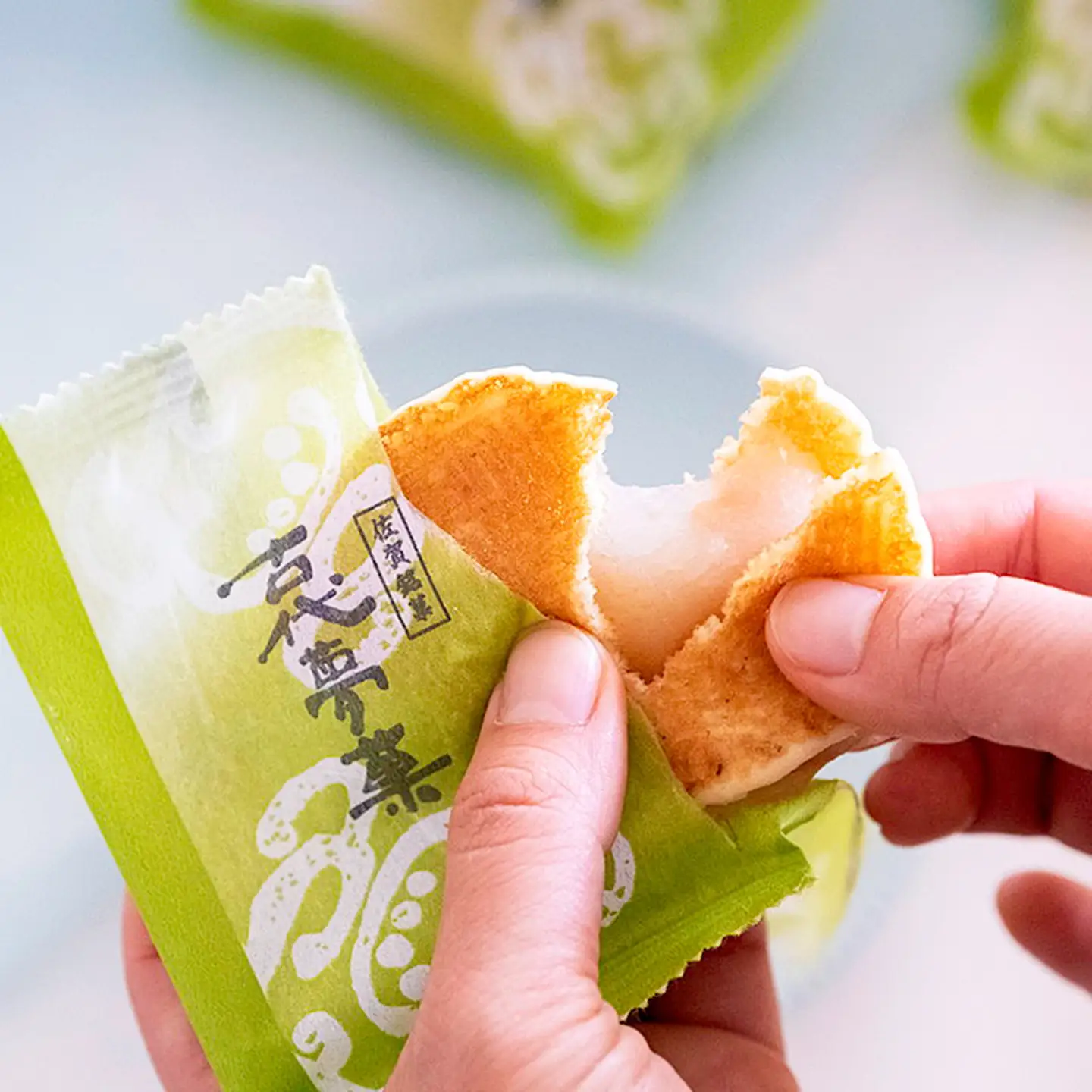 贈りものに◎人気銘菓詰合（7種10個入） 和菓子 銘菓 佐賀銘菓：B105-022