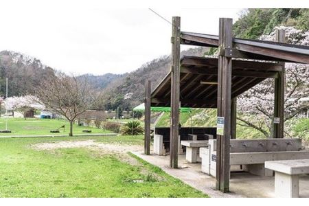 知明湖キャンプ場利用券［No.050］