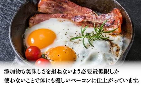 【6か月定期便】 スライス ブロック ベーコン セット 国産 ブロック 