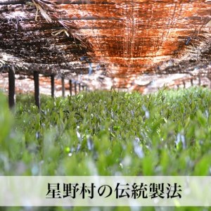 【2026年産】 八女茶 緑茶 奥八女・星野村の伝統本玉露 80g