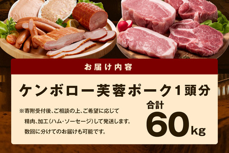 【DLGコンテスト2024金賞受賞】 ケンボロー芙蓉ポーク1頭分【特別商品】 肉 豚肉 豚 1頭 60kg ロース 肩ロース バラ ヒレ モモ肉 ミンチ ブランド豚 ハム ソーセージ 【002_1952】