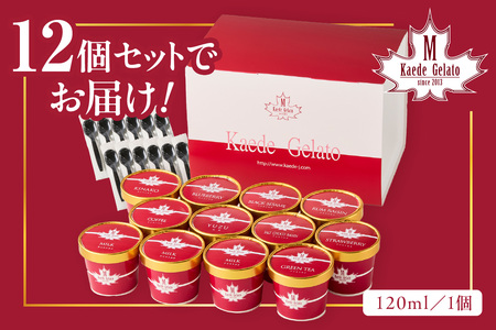ジェラートセット おやつ お菓子 デザート スイーツ アイス ジェラート 冷菓 ギフト 贈り物 ご褒美 ひんやりグルメ お取り寄せ 【003_0642】