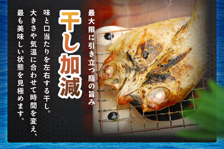 山陰浜田 香住屋のこだわり干物「のどぐろ・水かれい・あじ一夜干し」 魚介類 魚貝類 干物 干もの 一夜干し 干物セット お祝い 【024_1980】