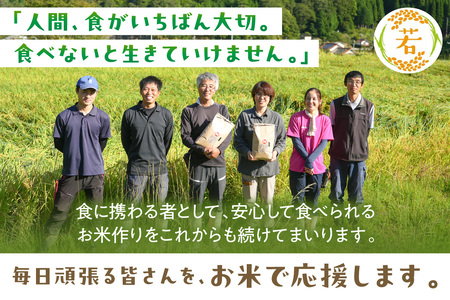【令和7年産】浜田市金城町産の美味しいコシヒカリ100％【おぐに米】10kg 10キロ 米 おこめ コシヒカリ 白米 精米 特産品 ごはん お取り寄せ 小分け 【071_2070】