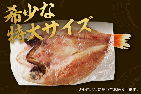 山陰浜田 香住屋のこだわり干物「特大のどぐろ一夜干し」（3～5尾） 魚 一夜干し 干物 のどぐろ 天然 加工品 【024_1981】