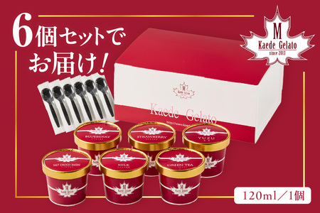 島根の新鮮な素材をふんだんに使った「イタリアンジェラート」（6個入） アイスクリーム 人気 スイーツ イタリアンジェラート お菓子 アイス ミルク チョコ 抹茶 苺 ギフト ご褒美 贈答【003_0643】