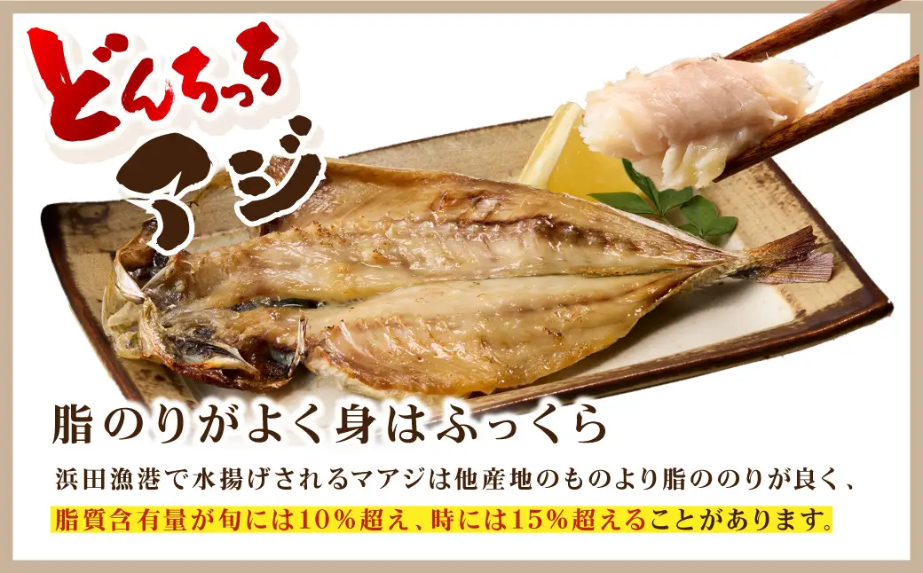 どんちっちあじ一夜干し10枚セット 魚介類 魚 干物 一夜干し あじ 鯵 セット 【136_1970】