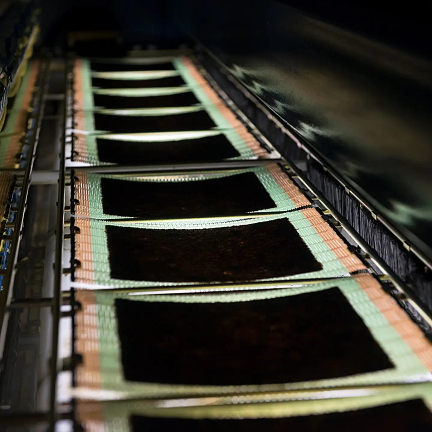 焼き海苔 初摘み佐賀のり セットＢ 焼き海苔：B150-055