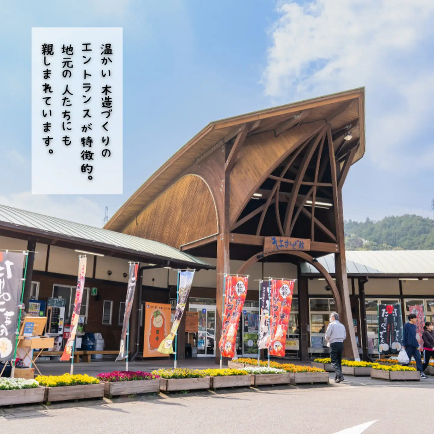 旬の野菜と果物セット：B165-002