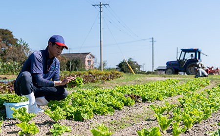佐賀産季節の旬野菜15種類（農薬・化学肥料不使用）露地栽培野菜 セット スローLIFEスローWORK大和：B150-008