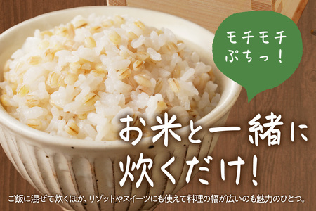 有機JAS認証 島根県産 有機もち麦 500g×3 1.5kg 国産 もち麦 1.5キロ 特産品 食品 【149_1428】