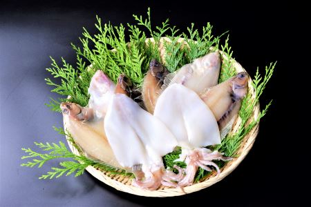【3か月連続】あんこう！のどぐろ！いか！かれい！千畳苑『うまいけぇ便』 魚介類 魚貝類 魚 いか カレイ 定期便 定期 3回 煮魚 干物 鍋 あんこう鍋 セット 詰め合わせ 【141_1903】